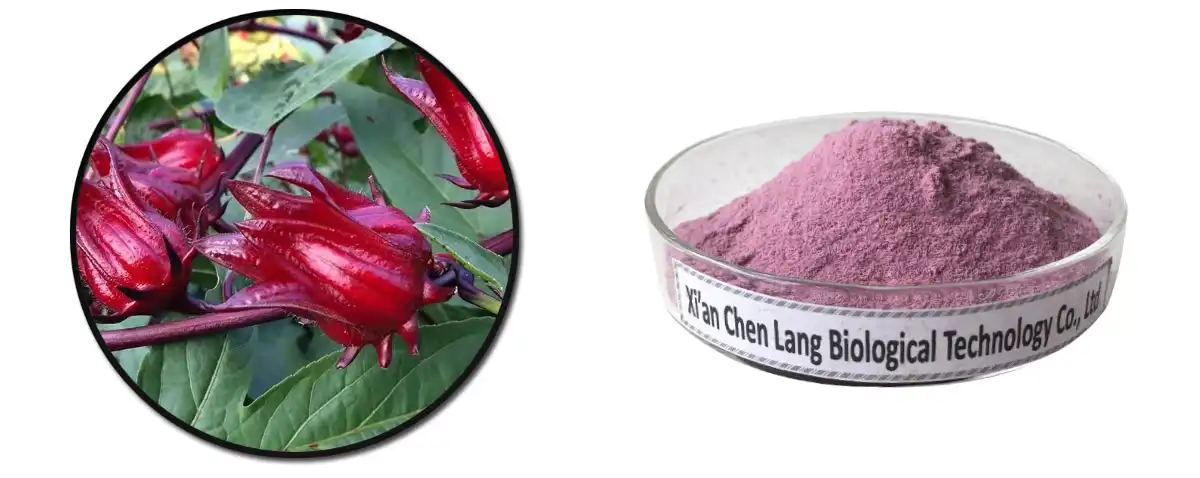 Roselle Powder Saler.jpg